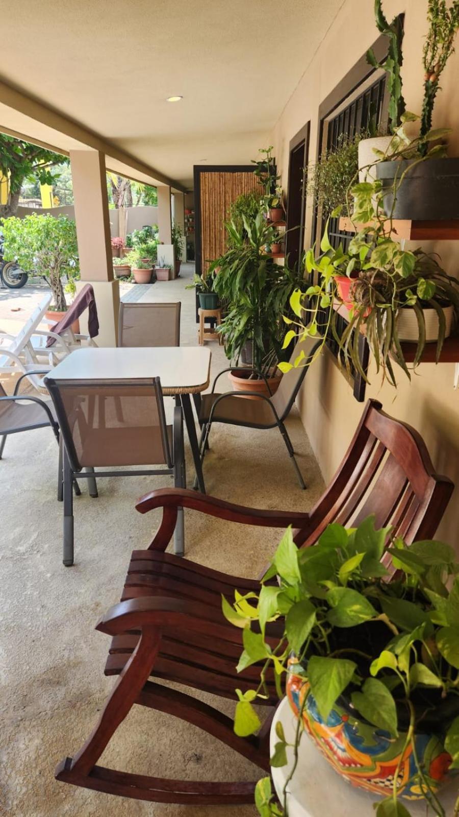 Guest House Playa Flamingo Esterno foto